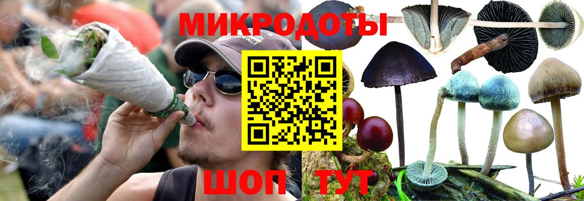 Петрозаводск  Псилоцибиновые грибы мухоморы  Вход с VPN 
